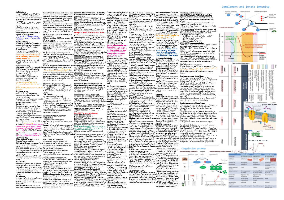 Biosci 107 exam cheat sheet - Cell Membrane - A thin, 8nm (8 x10 -9 ...