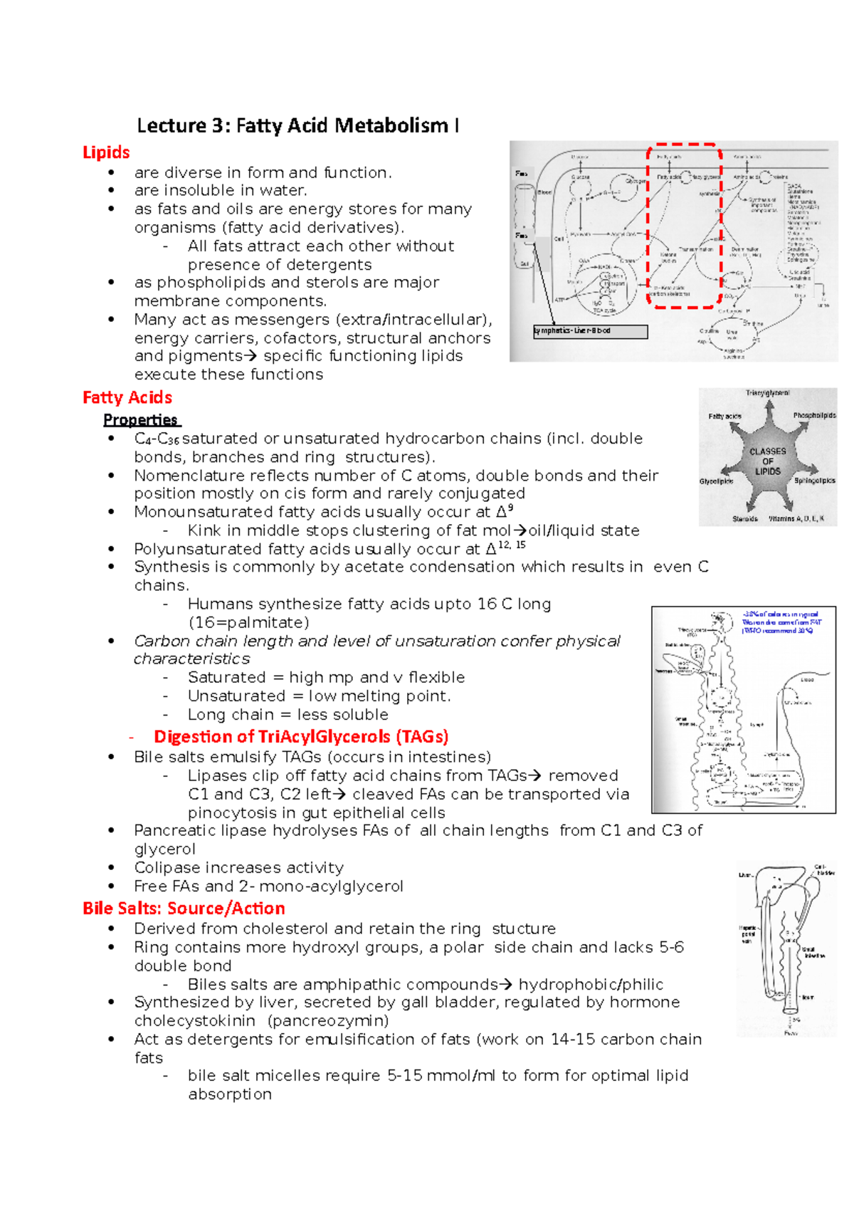 Met Lec 2 - Fatty Acid I Metabolism Notes - Lecture 3: Fatty Acid ...