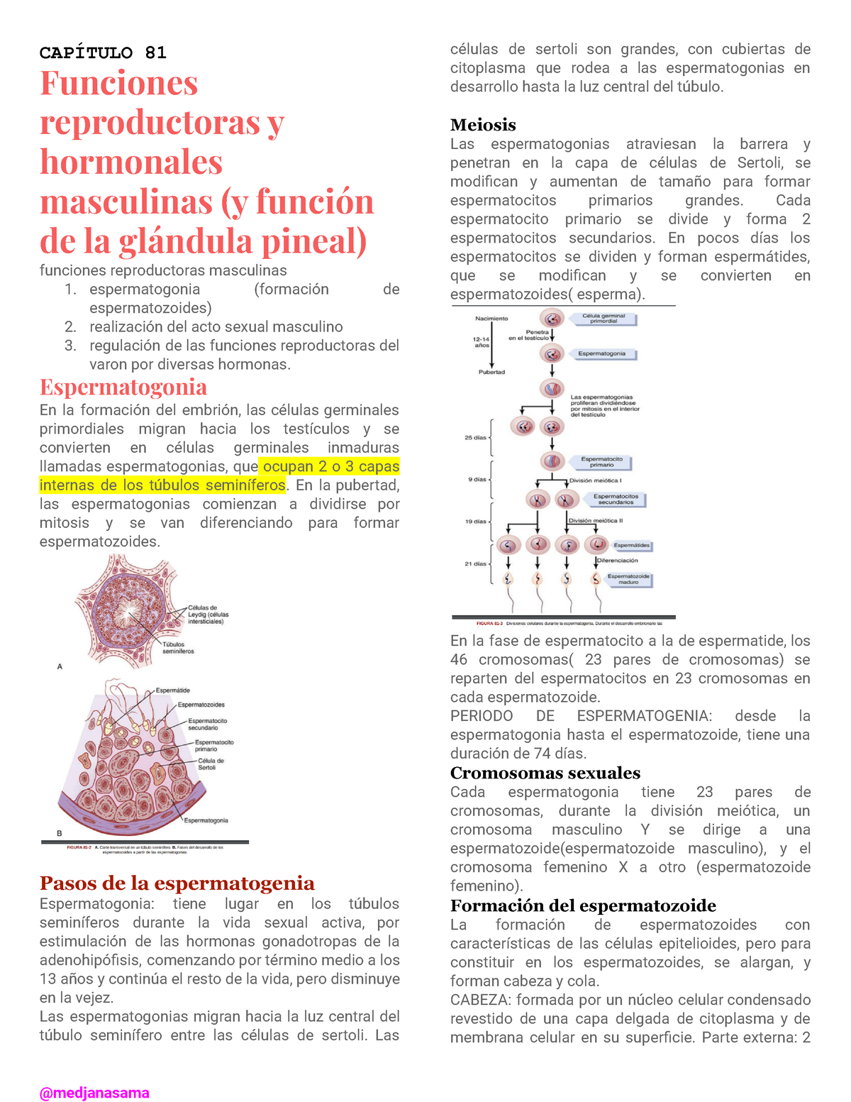 Capitulo 81 Funciones Reproductoras Y Hormonales Masculinas Y Función De La Glándula Pineal 6045