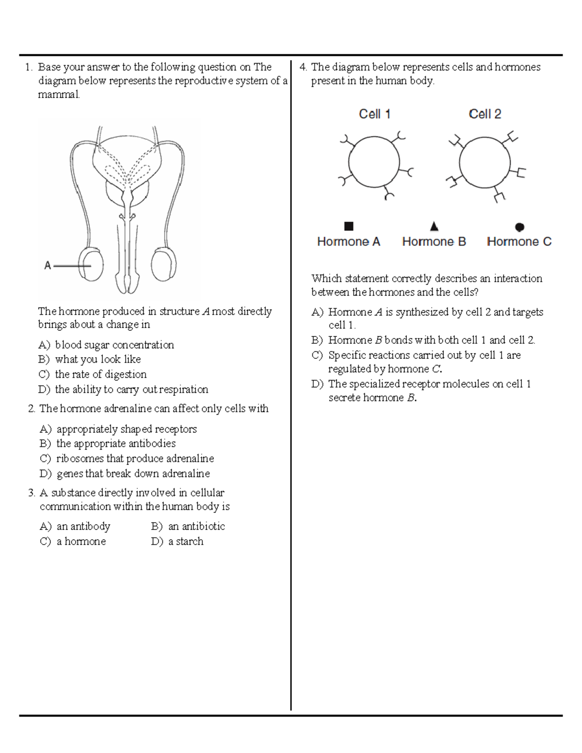 Which Of The Following Is Not An Endocrine Gland Quizlet - o1perfj