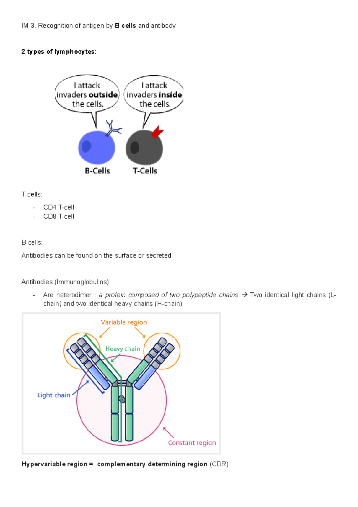 IM 3 - IM 3. Recognition of antigen by B cells and antibody 2 types of ...