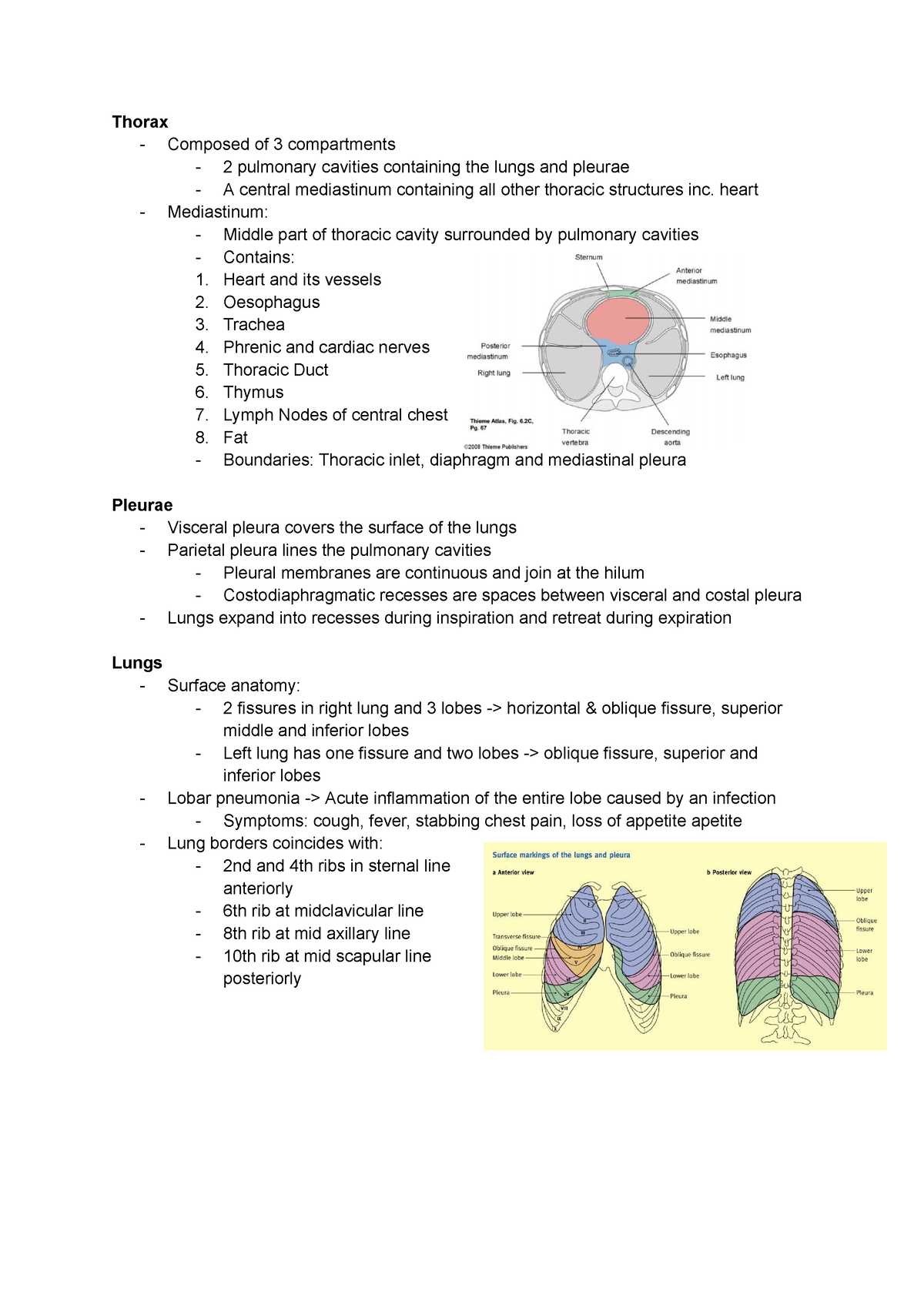 ANAT0005 lungs and breathing - Thorax - Composed of 3 compartments - 2 ...