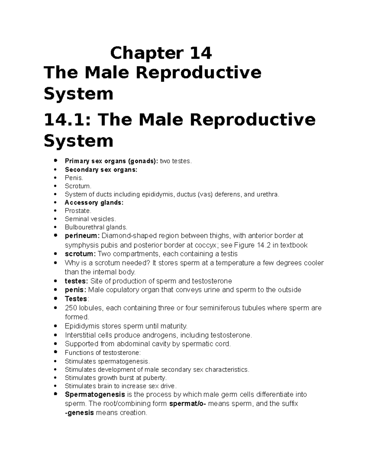 Chapter 14 med term notes Chapter 14 The Male Reproductive