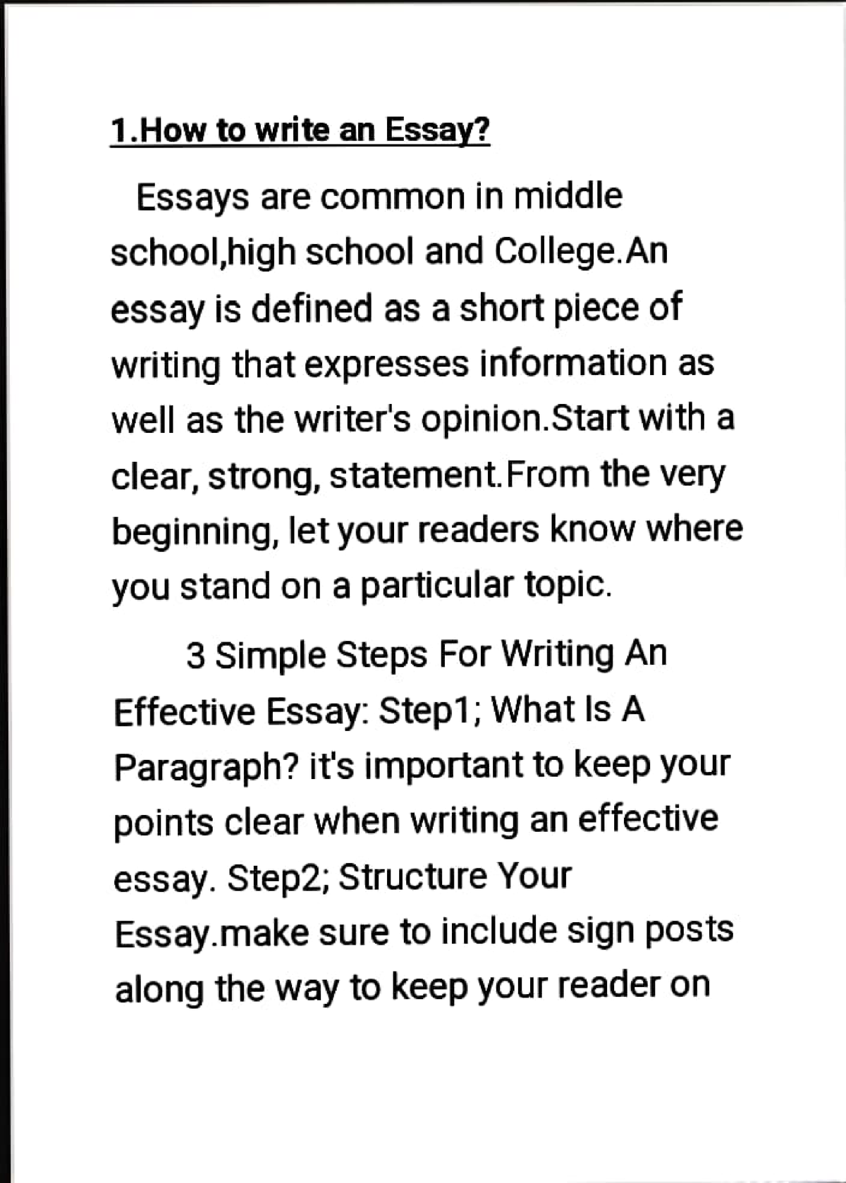 what is an essay