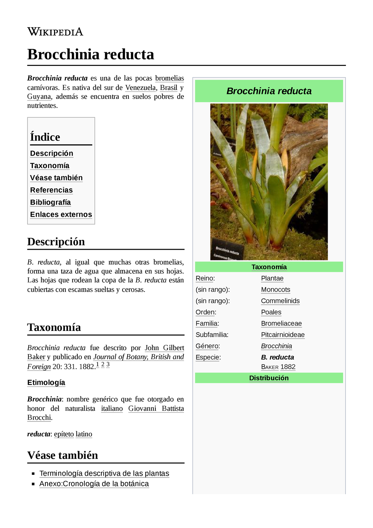 Brocchinia reducta - - Studocu