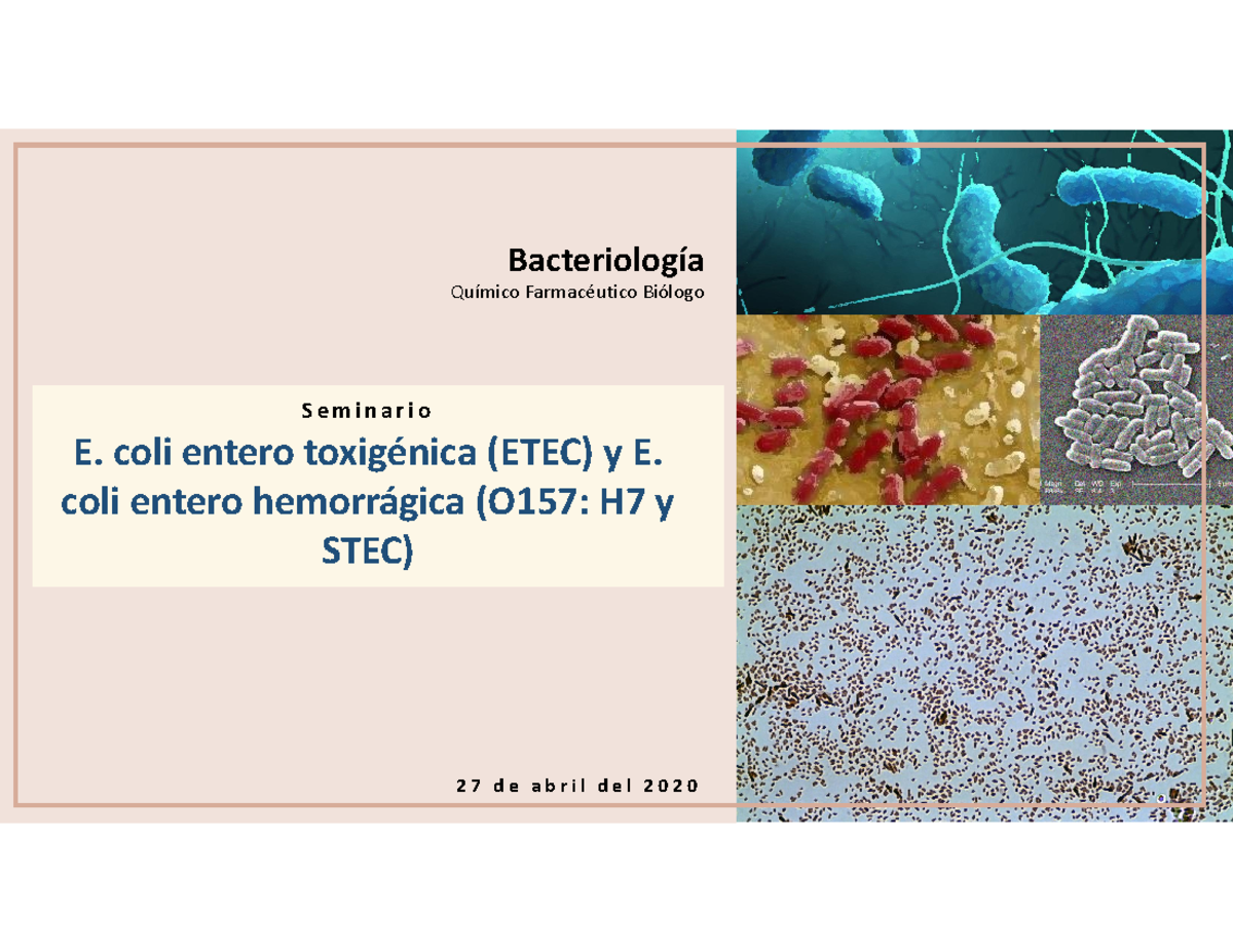 E. coli entero toxigénica (ETEC) y E. coli entero hemorrágica ...