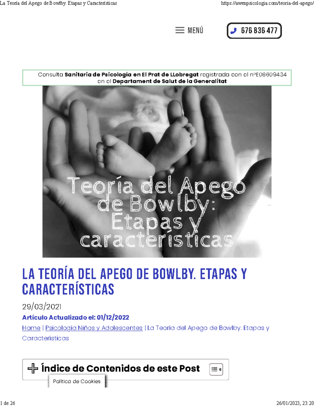 La Teoría Del Apego De Bowlby Etapas Y Características Consulta Sanitaria De Psicología En El 0261