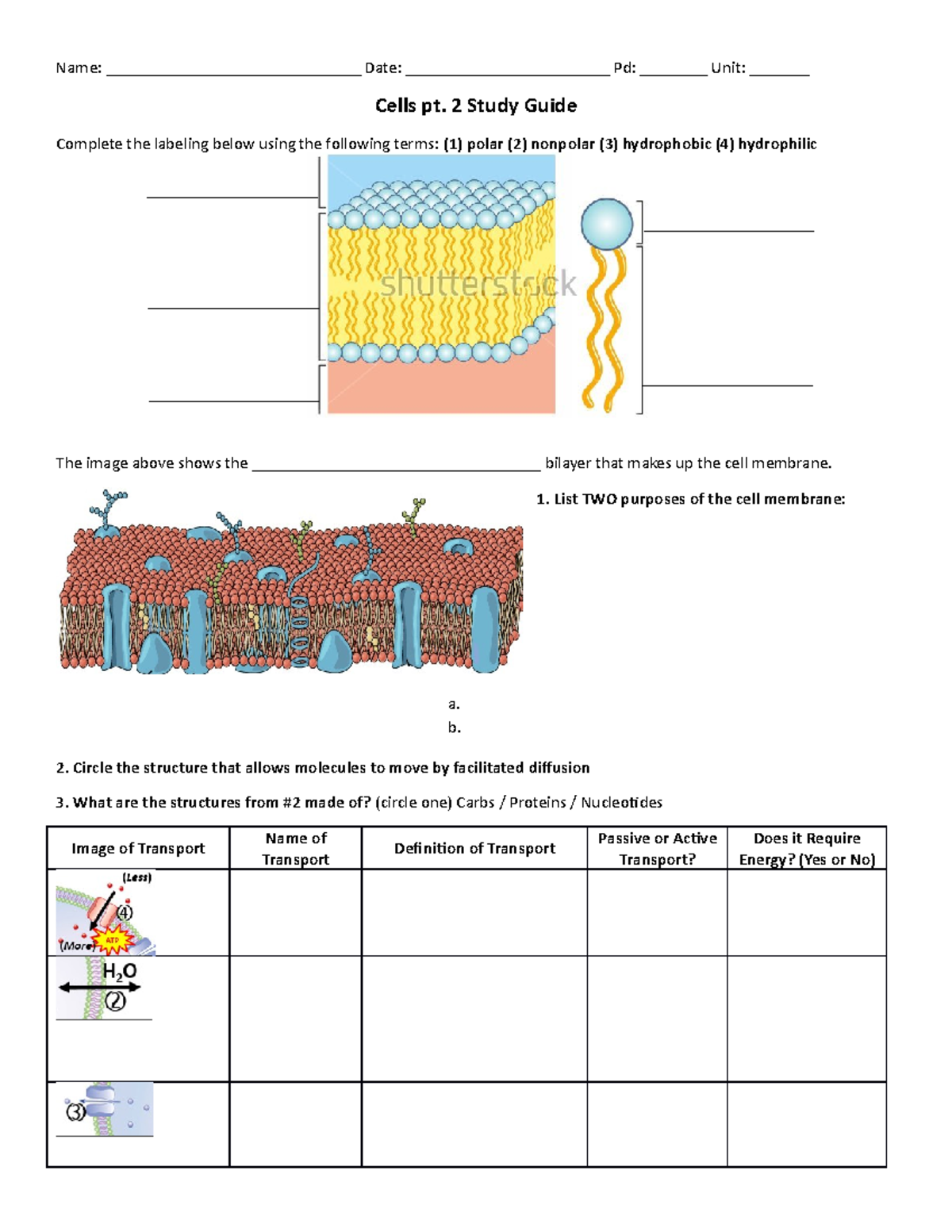 Cells+Part+2+Study+Guide - Name: ______________________________ Date