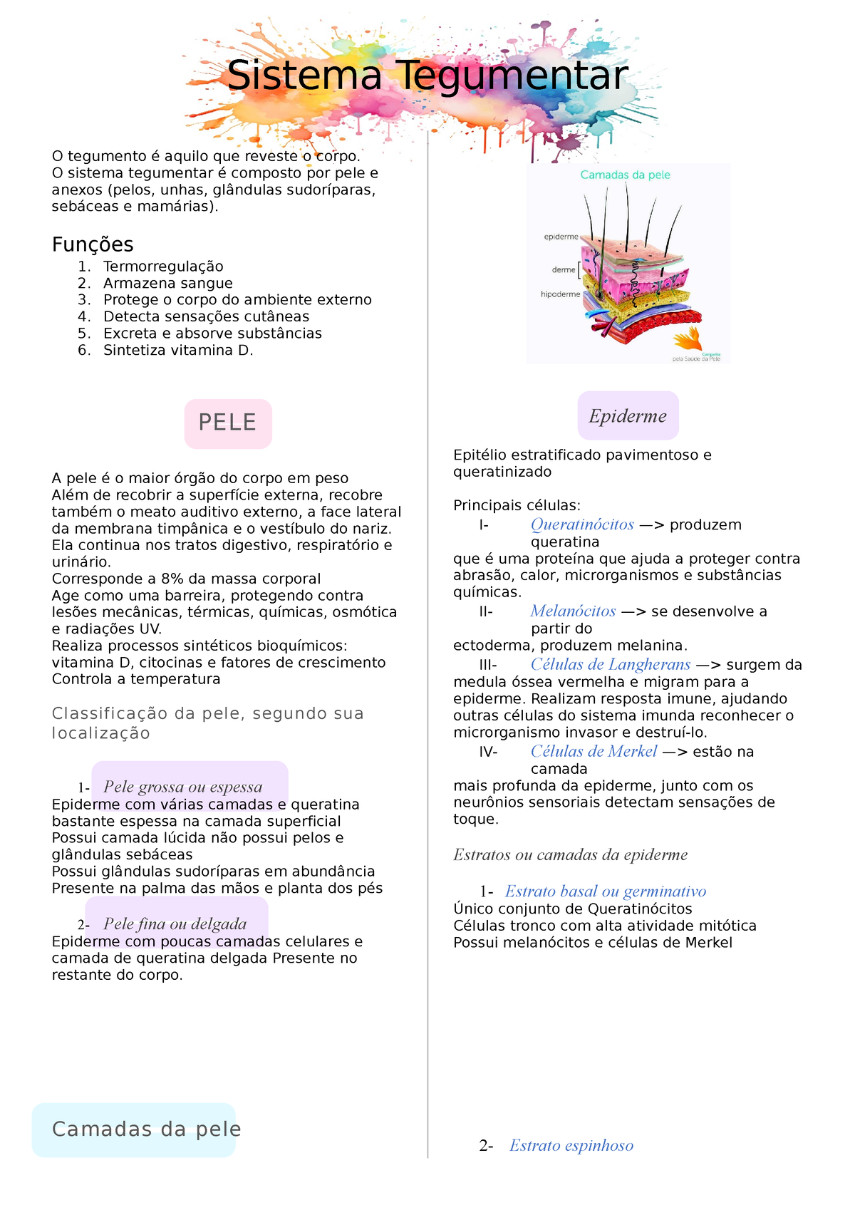 2- Sistema Tegumentar - Sistema Tegumentar O Tegumento é Aquilo Que ...