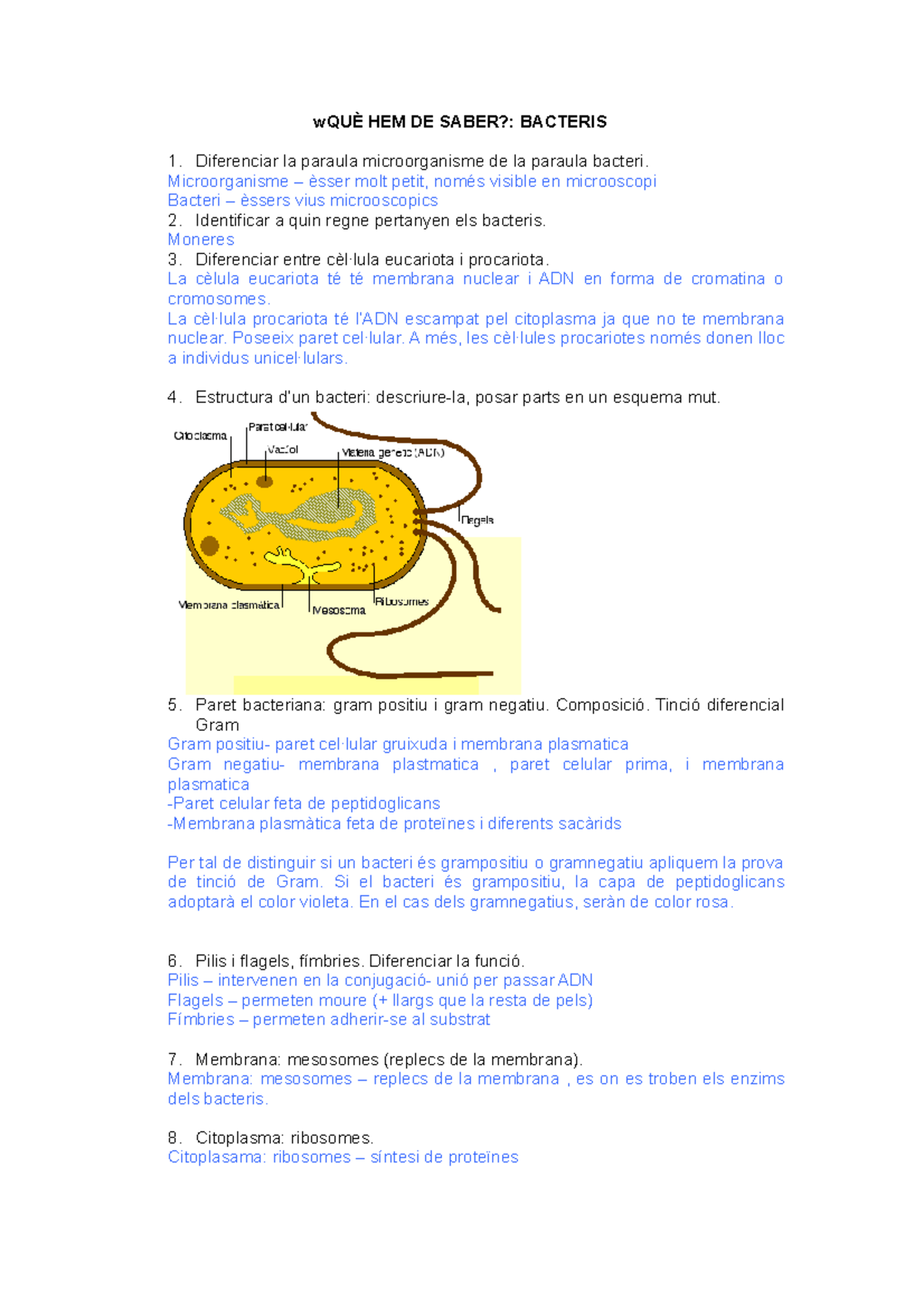 QHS bacteris i immunitat - wQUÈ HEM DE SABER?: BACTERIS Diferenciar la ...