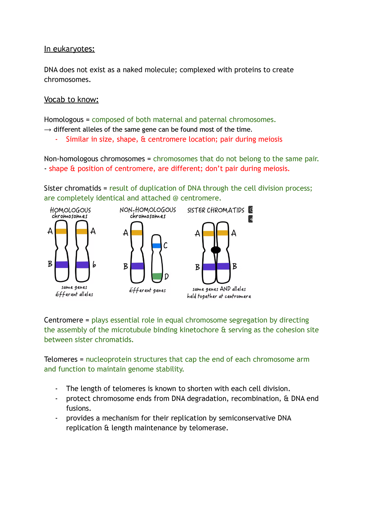 Bmb Module Chromosome Structure Video Notes In Eukaryotes Dna Does Not Exist As A Naked