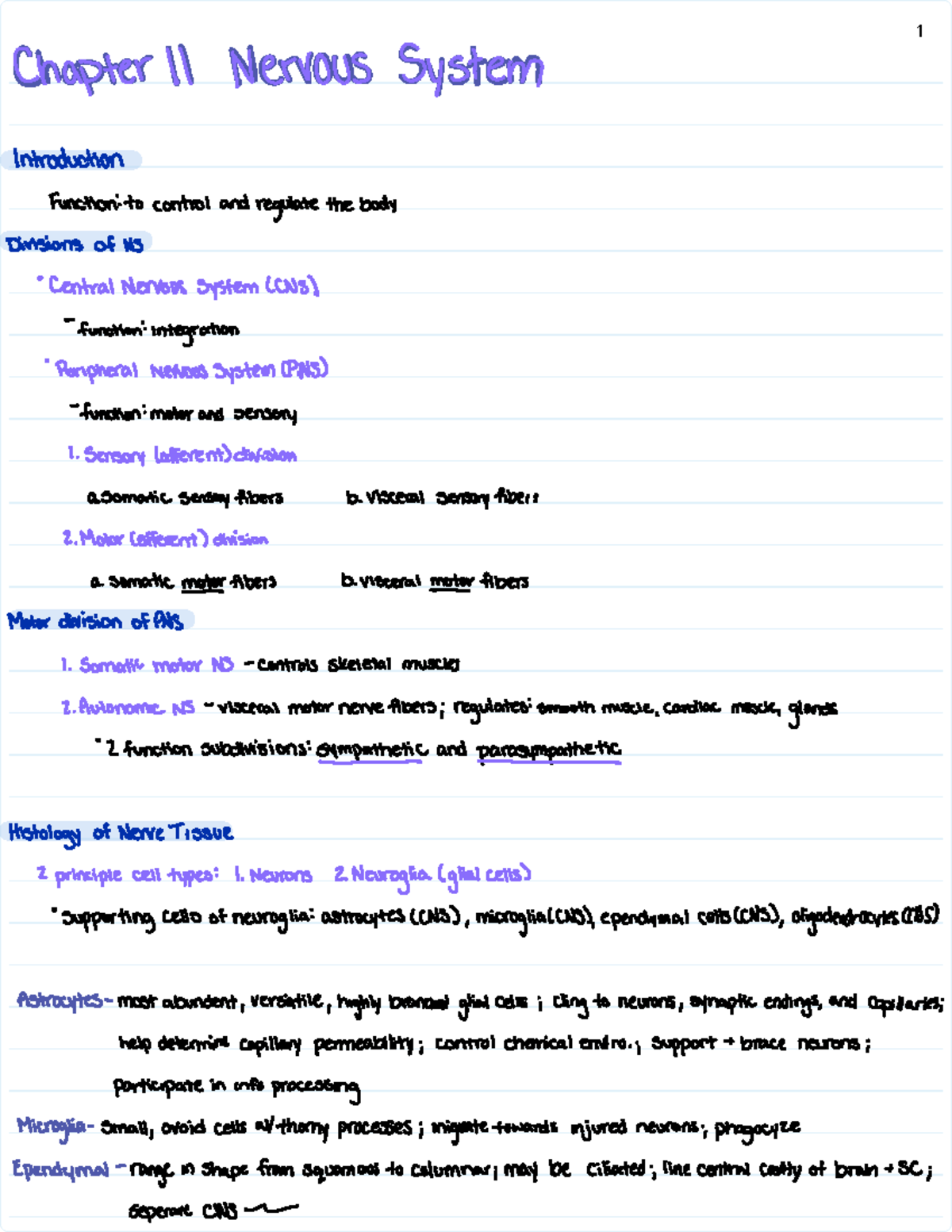 Anatomy visual data 8