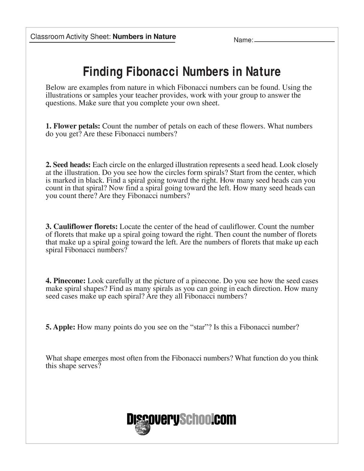 numbersnature-info-classroom-activity-sheet-numbers-in-nature-name