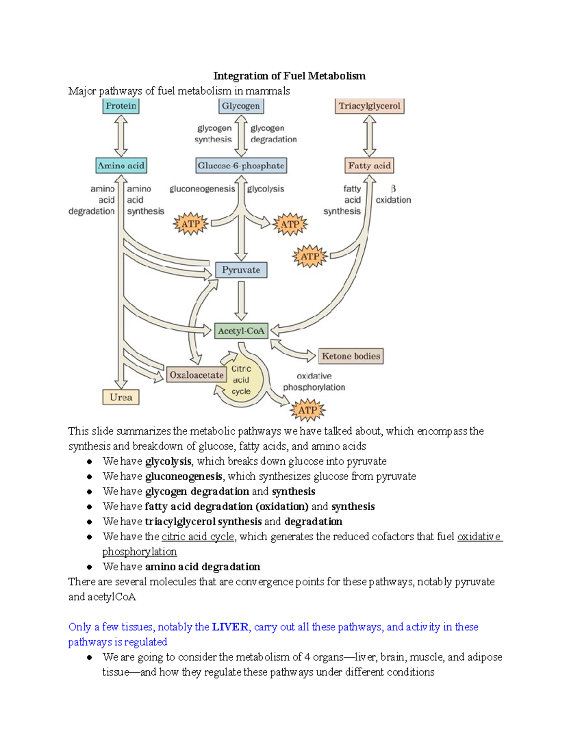 Module 19 Integration of Fuel Metabolism Integration of Fuel Metabolism Major pathways of fuel
