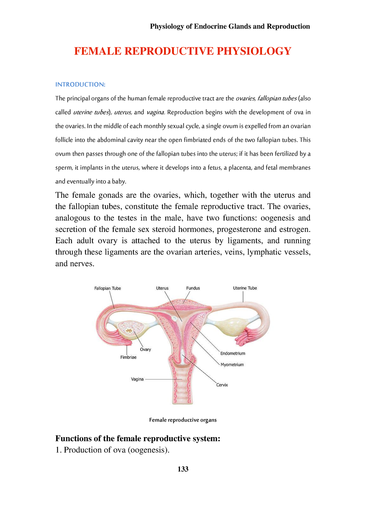 ERD physio- Female Reproductive Physiology - FEMALE REPRODUCTIVE ...