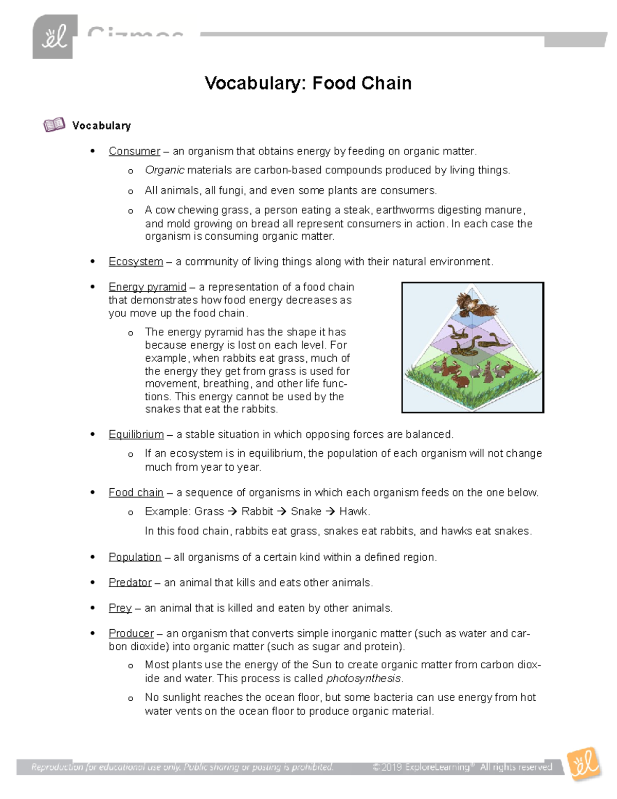 Food Chain Vocab Meaning