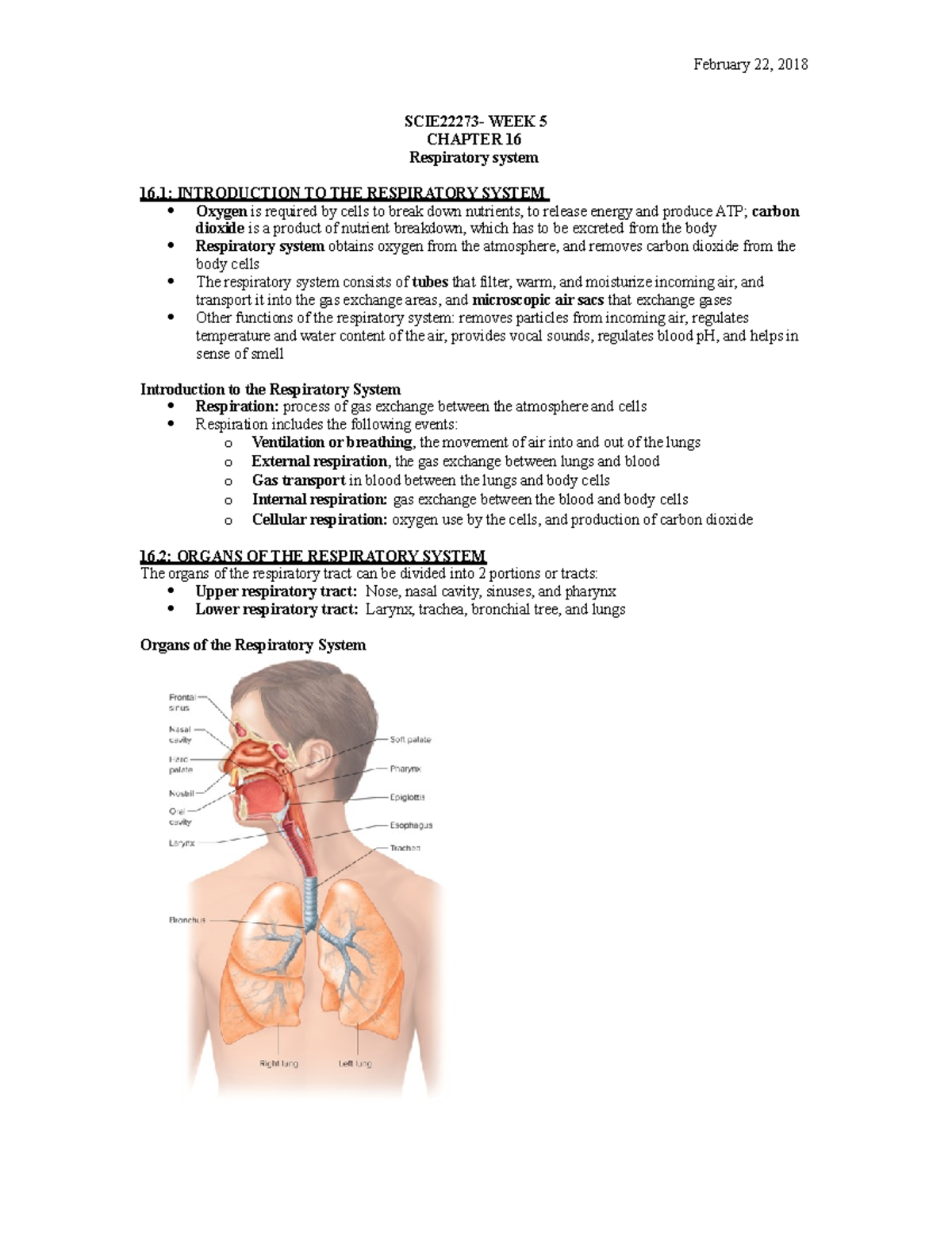 SCIE22273- WEEK 5 - Lecture Notes 5 - SCIE22273- WEEK 5 CHAPTER 16 ...