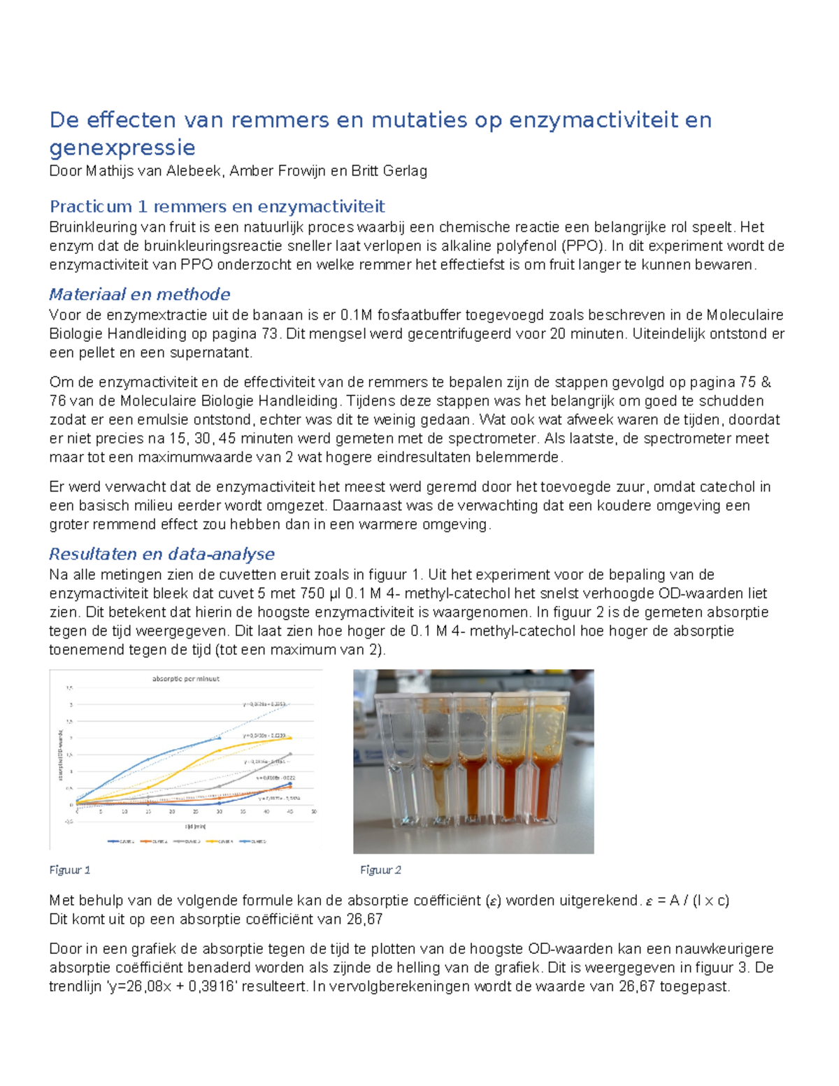 Verslag Moleculaire Biologie - De Effecten Van Remmers En Mutaties Op ...