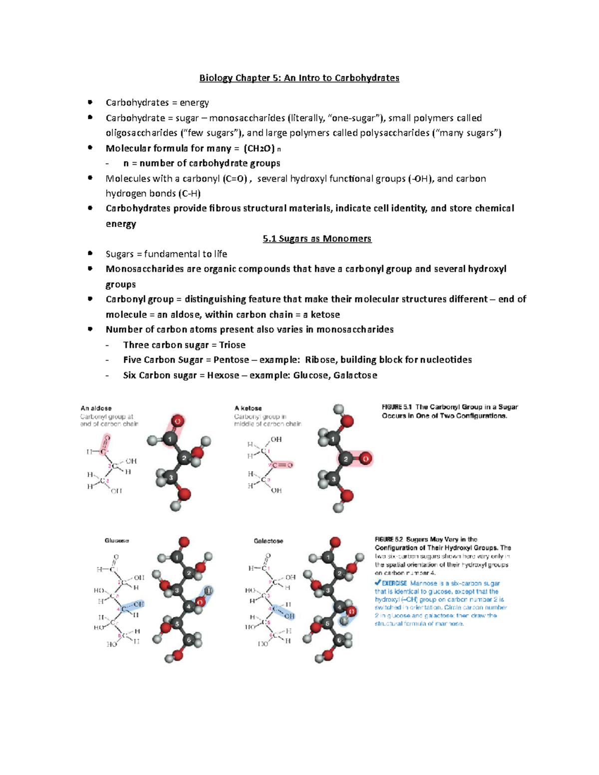 Biology 121 Chapter 5 Intro to carbs Biology Chapter 5 An Intro to