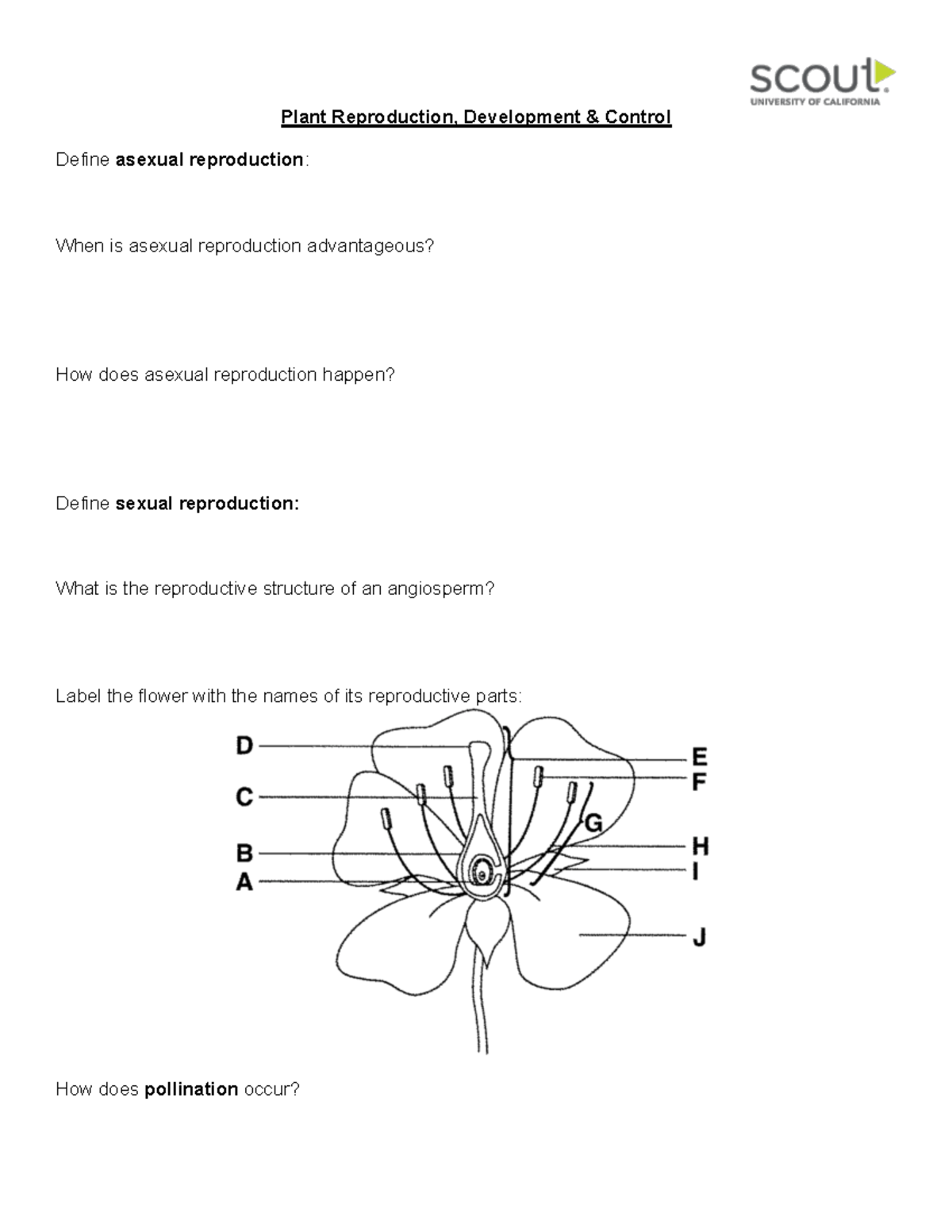 Bio Assignment 2 - basic title - Plant Reproduction, Development ...