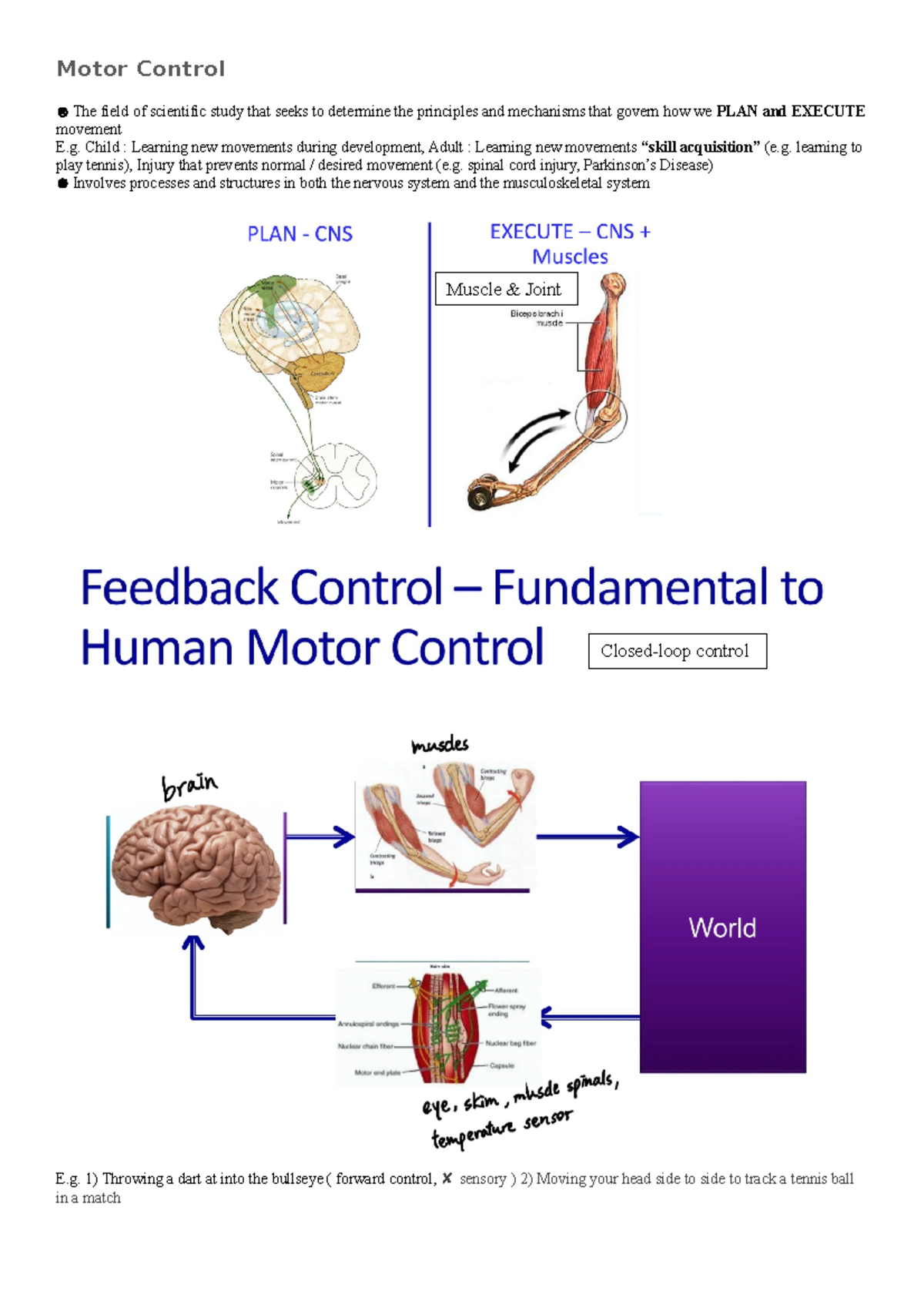BIOL1900 - From lecture1-9 - Motor Control The field of scientific ...