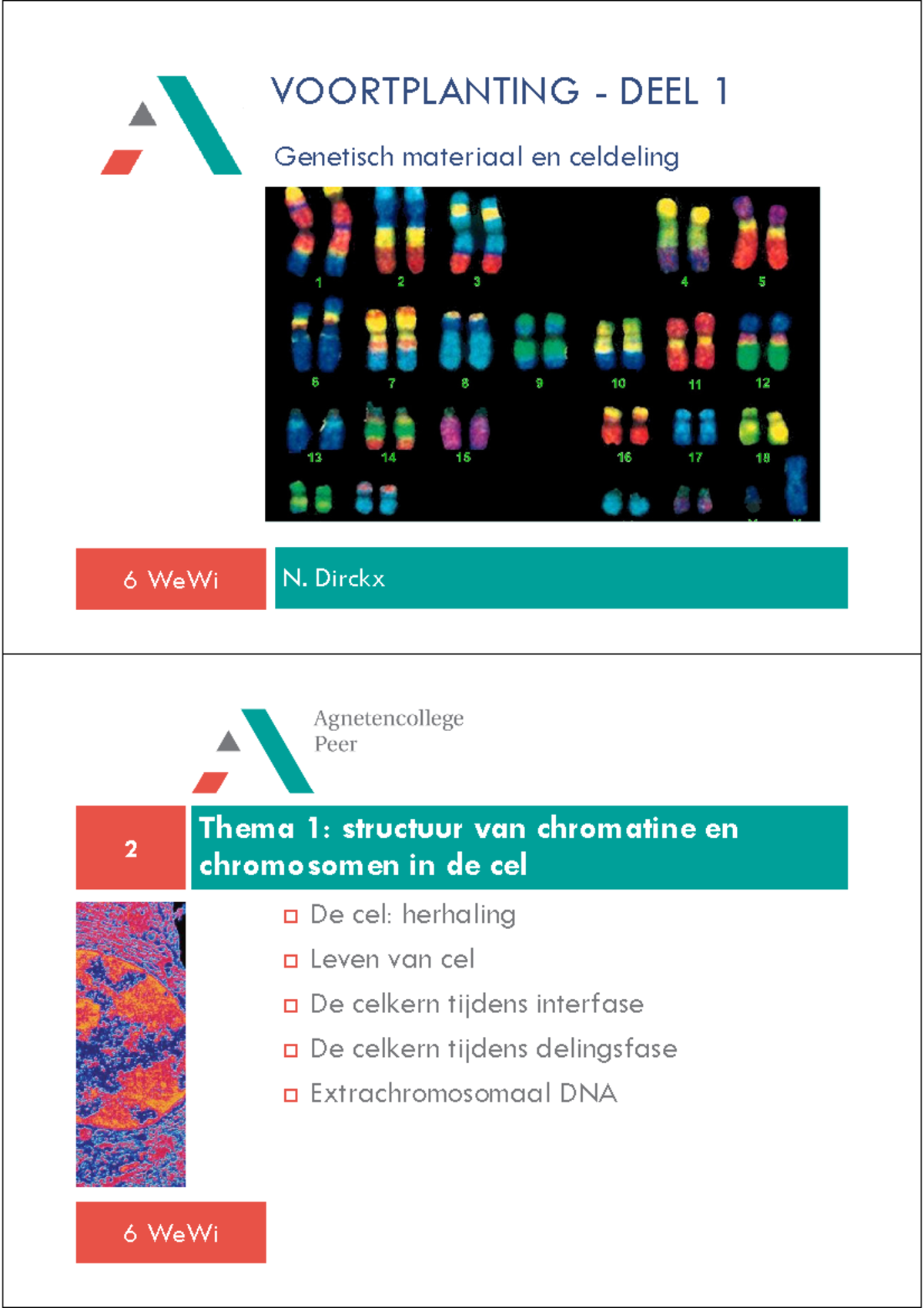 Thema 1: DNA En Celdeling - ! - Studocu