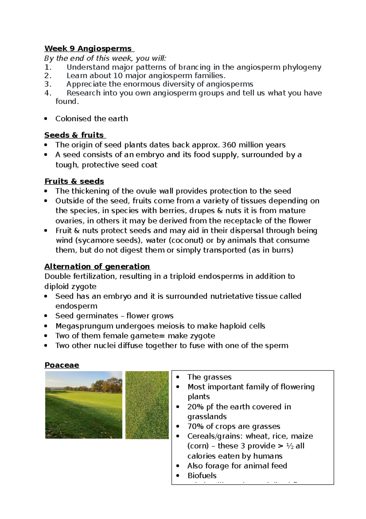 Week 9 Angiosperms part 1 - Week 9 Angiosperms By the end of this week ...