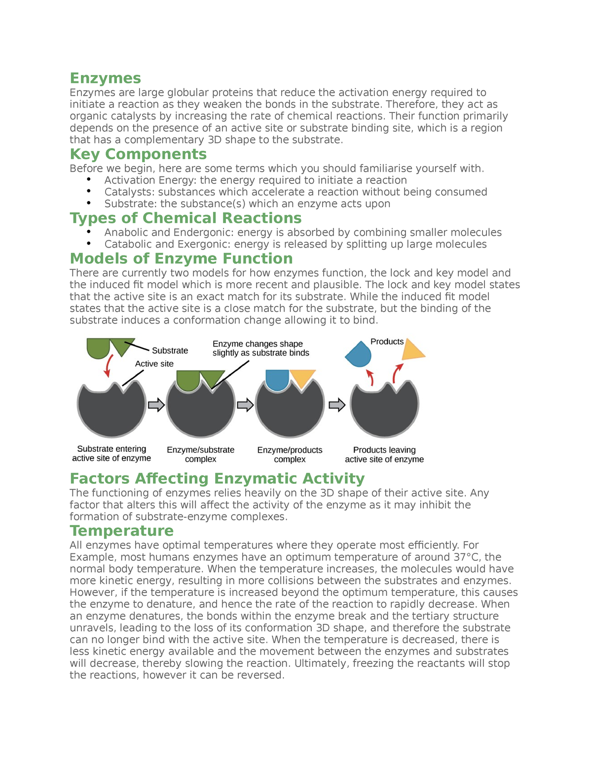 Enzymes notes Enzymes Enzymes are large globular proteins that