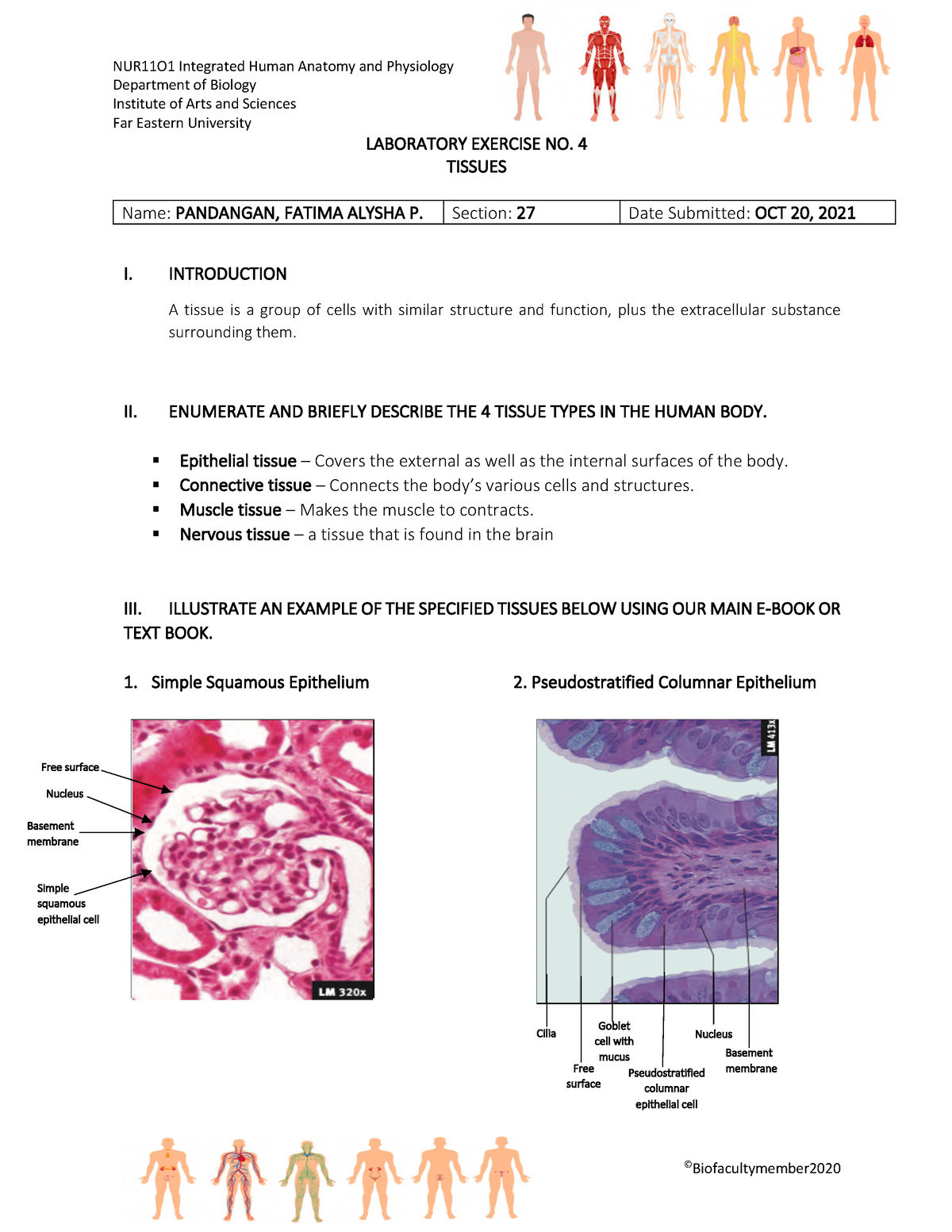 Pdfcoffee - mkkkskskss - Anatomy and Physiology - Studocu