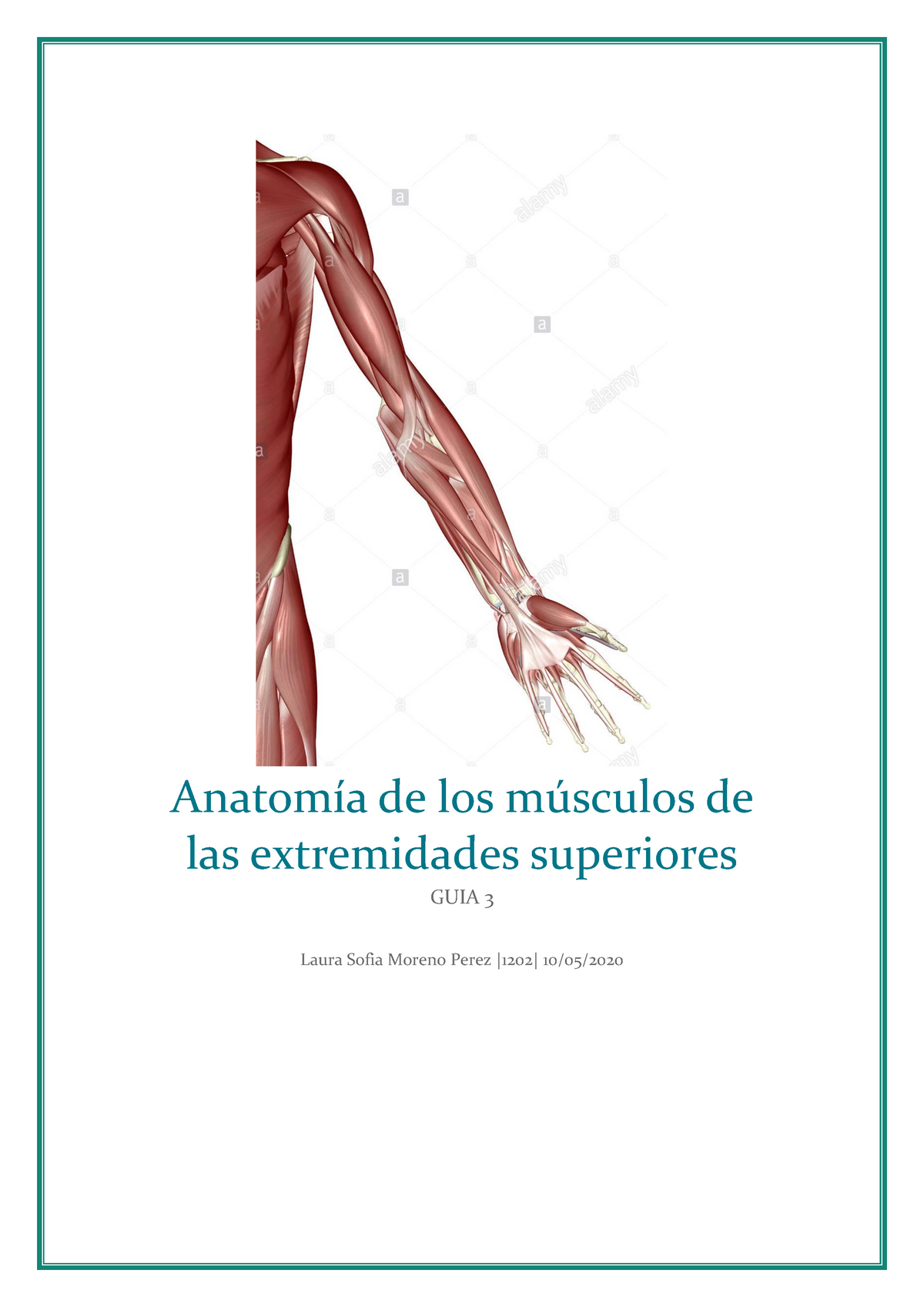 Guia 3 Miembros Superiores Moreno Perez Laura Sofia Anatomía De Los Músculos De Las 0273