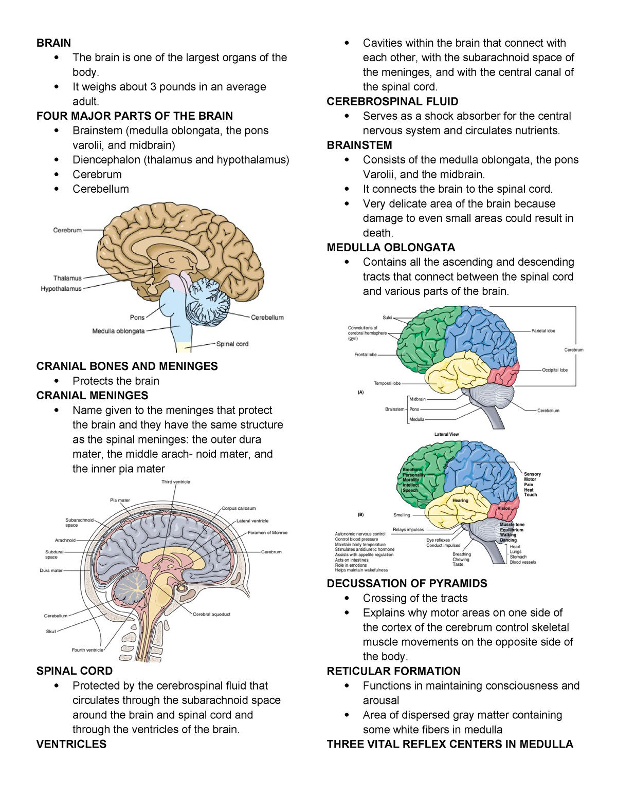 Brain DAMAGE BRAIN DAMAGE - BRAIN The brain is one of the largest ...