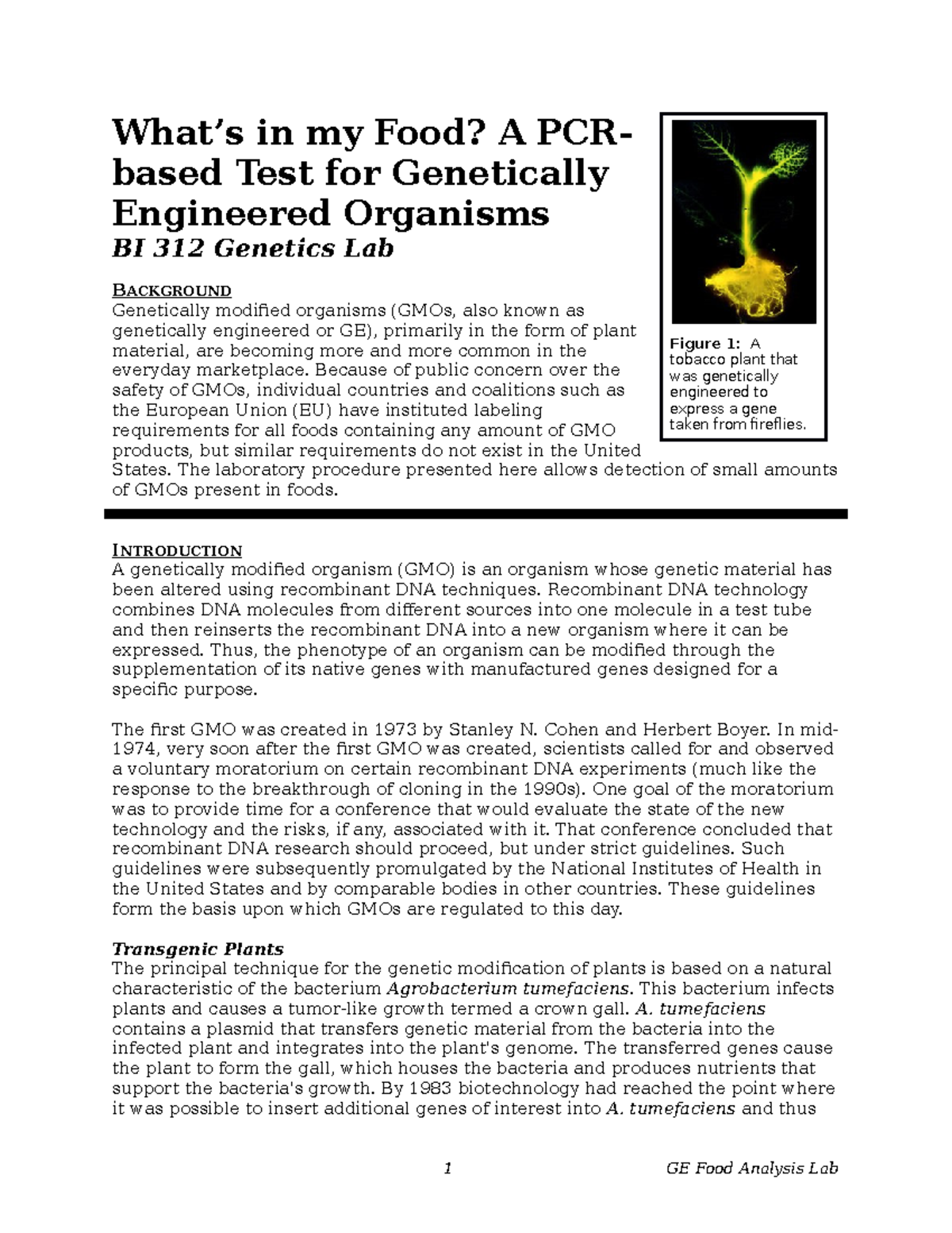 GEFood Lab Lab Material What’s in my Food? A PCR based Test for