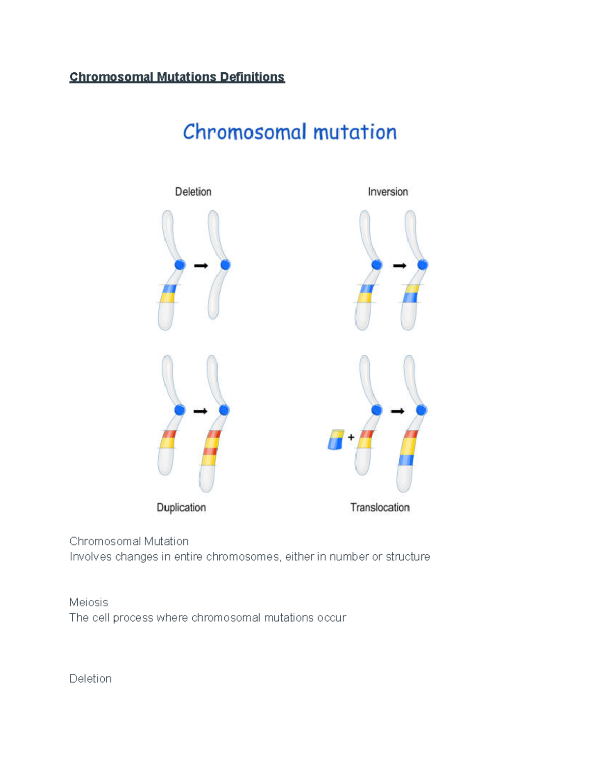 Chromosomal Mutations Part 2 Definitions Google Docs Chromosomal