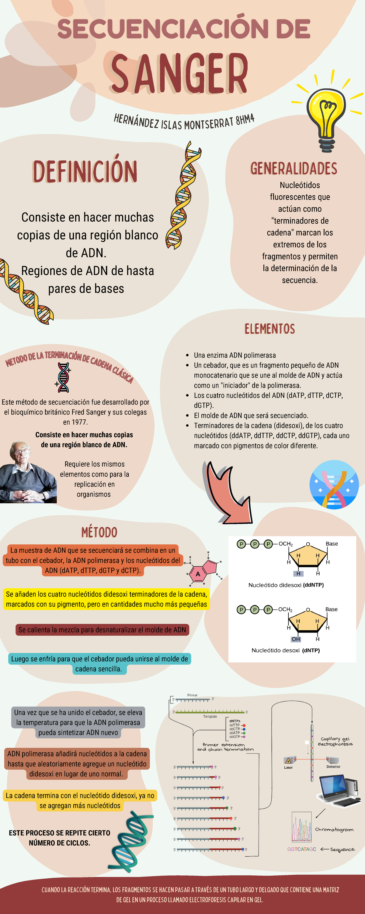 Tecnicas De Secuenciación Del DNA - Consiste En Hacer Muchas Copias De ...