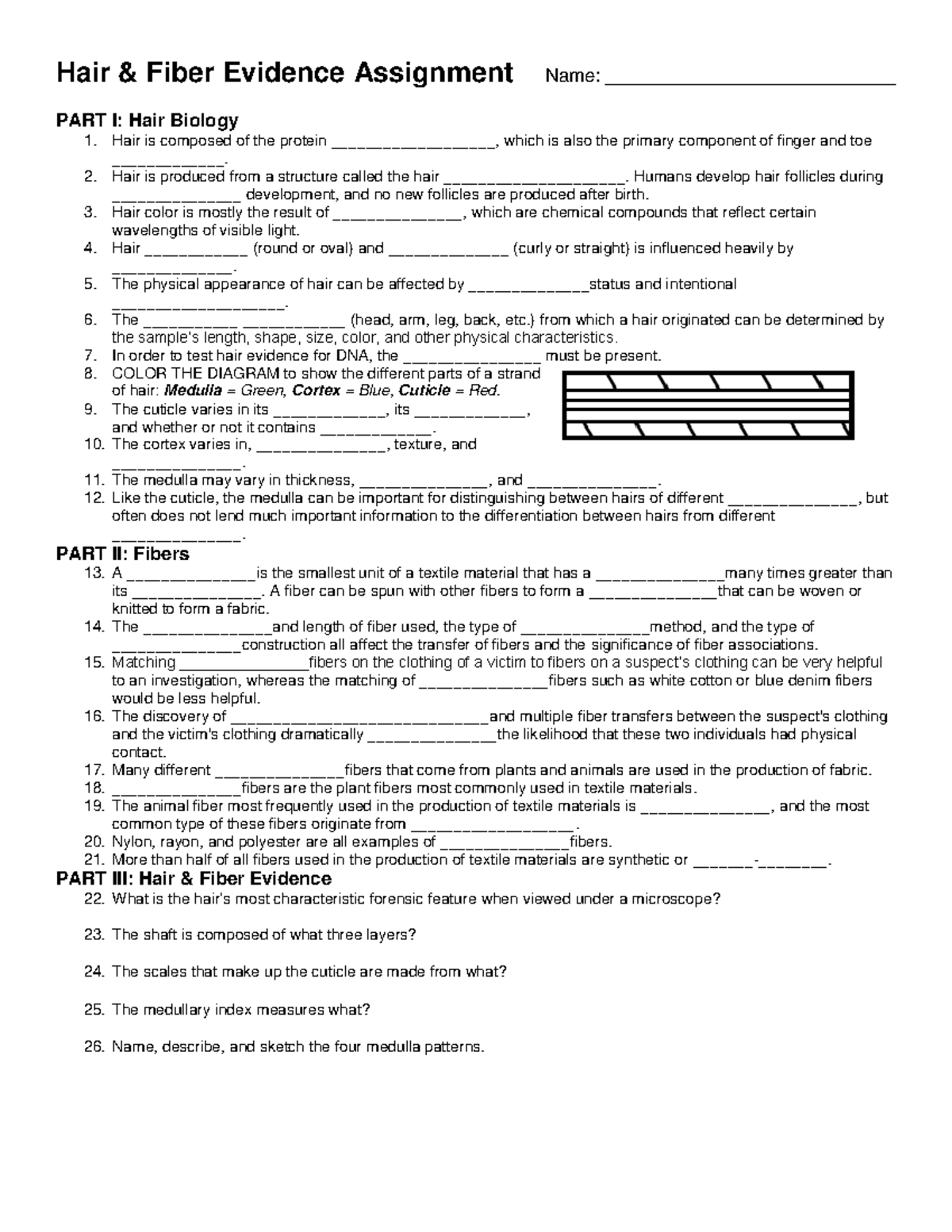 Hair and Fiber Evidence Worksheet - Hair & Fiber Evidence Assignment  Name: - Studocu