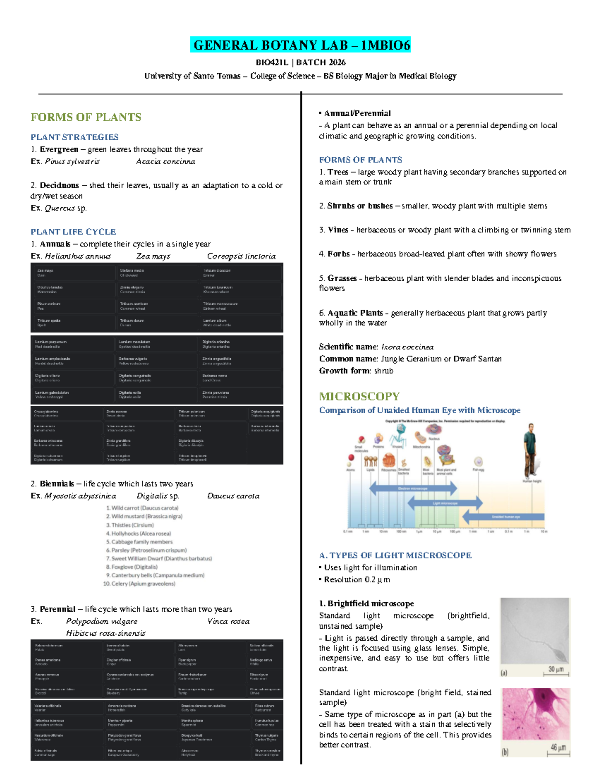 Botany Lab Notes A transcript of the preliminary topics discussed