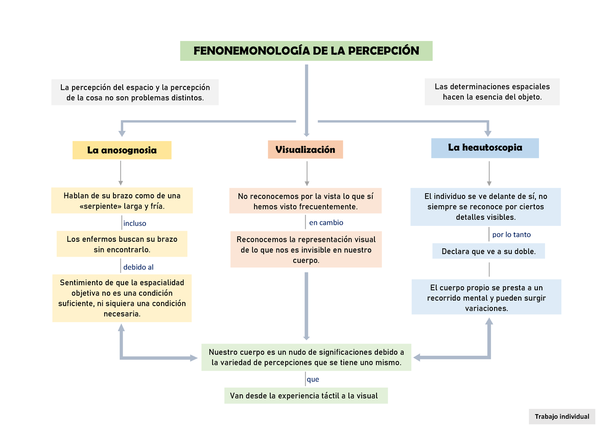 Mapa Conceptual Fenonemonologia - FENONEMONOLOGÕA DE LA PERCEPCI”N La ...