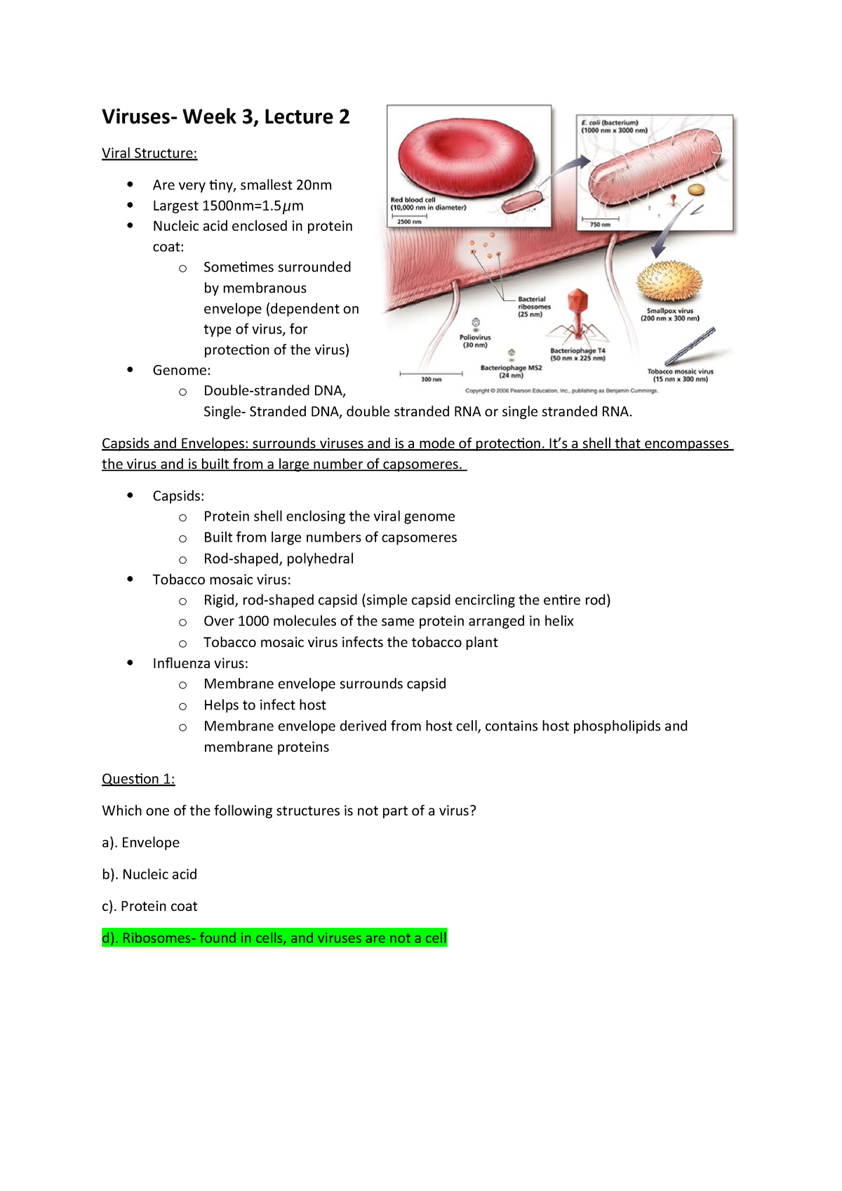 Molecular Basis Of Life Week 3 Lecture 2 Biol12 Studocu