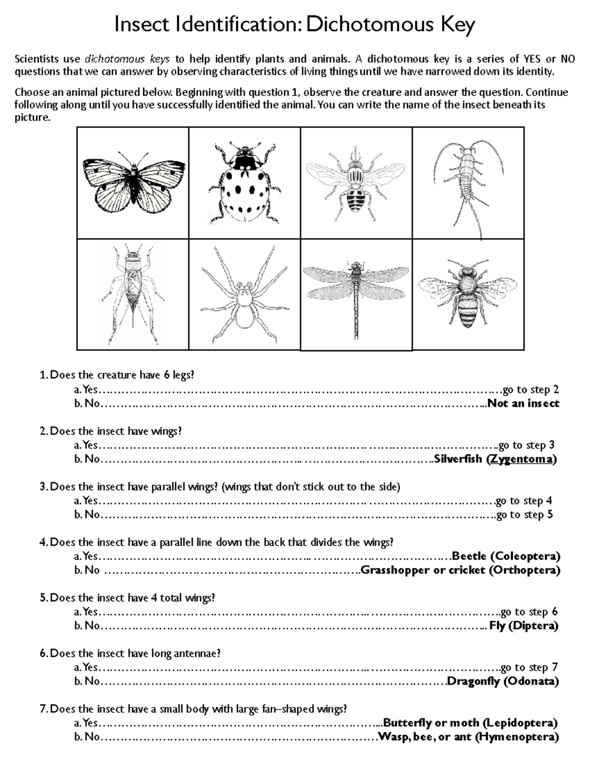 Insects-Dichotomous-Key - Scientists use dichotomous keys to help ...