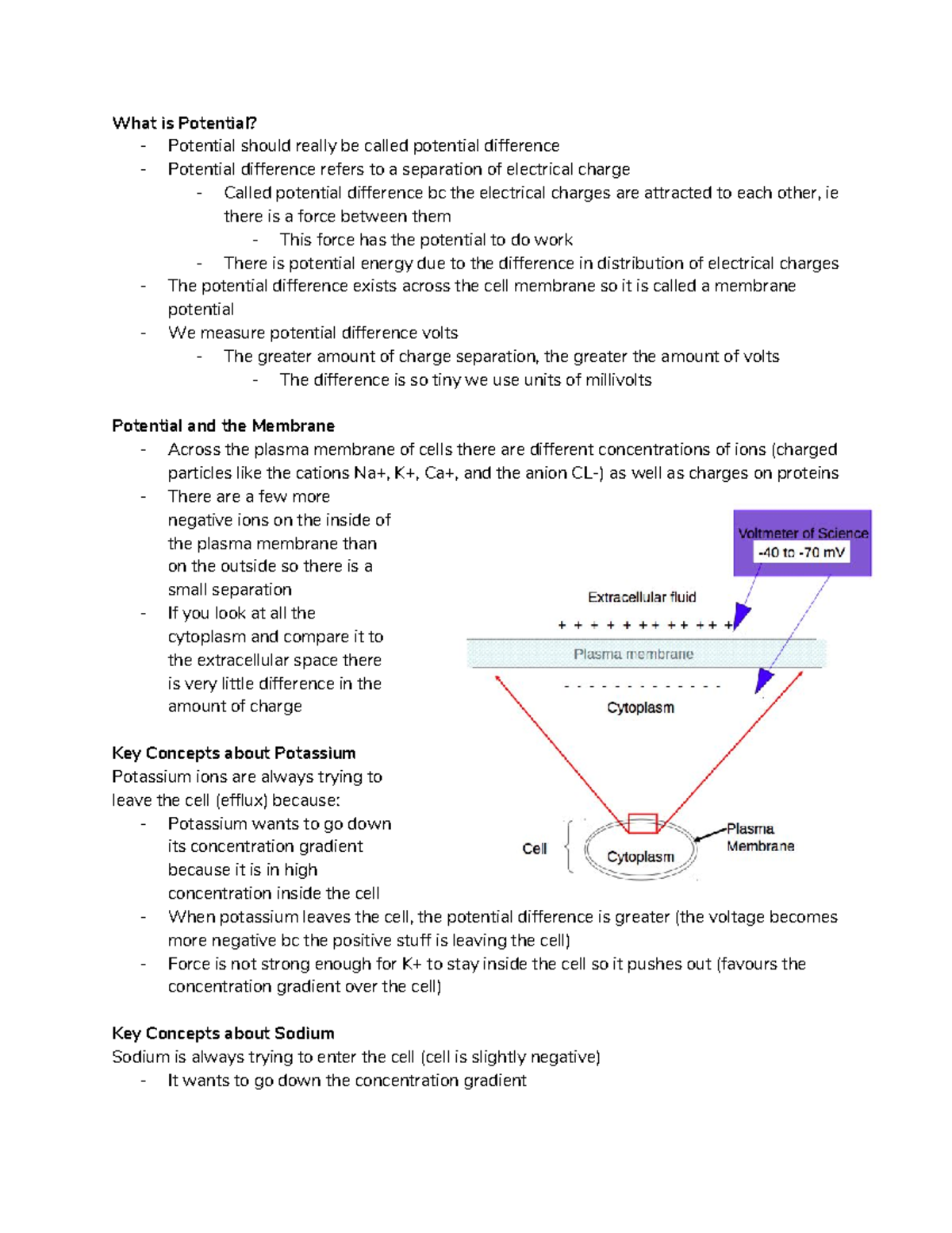 Membrane Potentials - Lecture notes 4 - What is Potential? - Potential ...