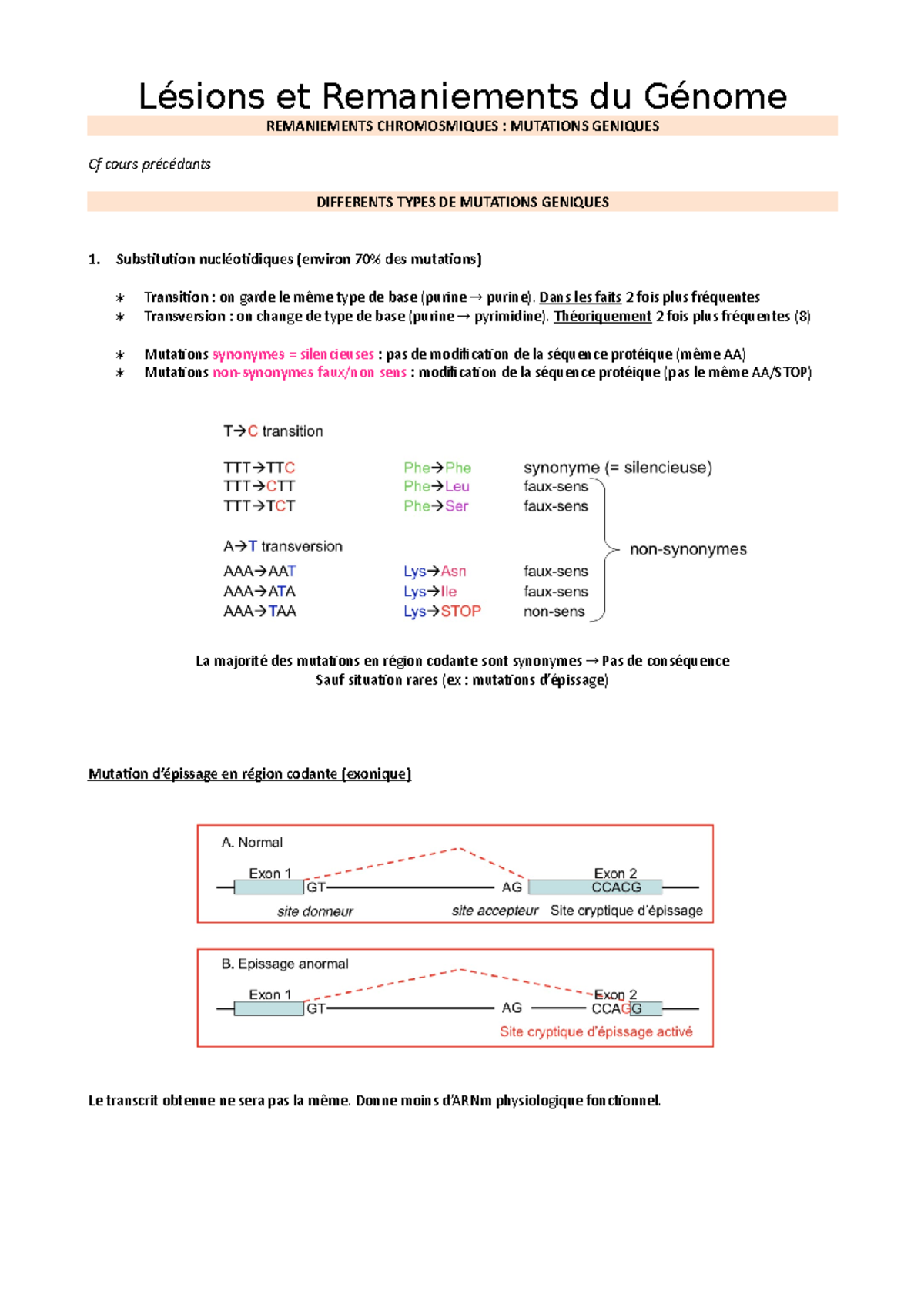 Les Lésions Et Remaniements Du Génome - Lésions Et Remaniements Du ...