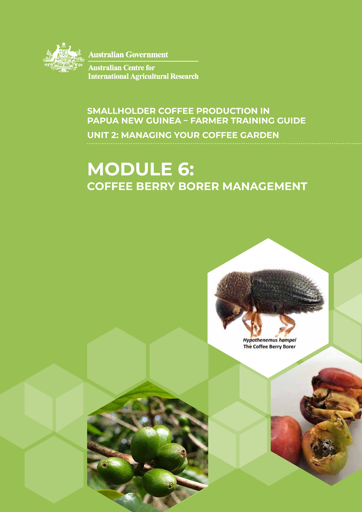 Coffee Berry Borer Management - 1 6 COFFEE BERRY BORER AND ITS IMPACT ...