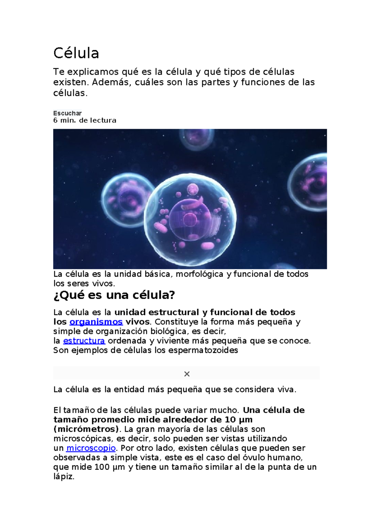 La celula - Célula Te explicamos qué es la célula y qué tipos de ...