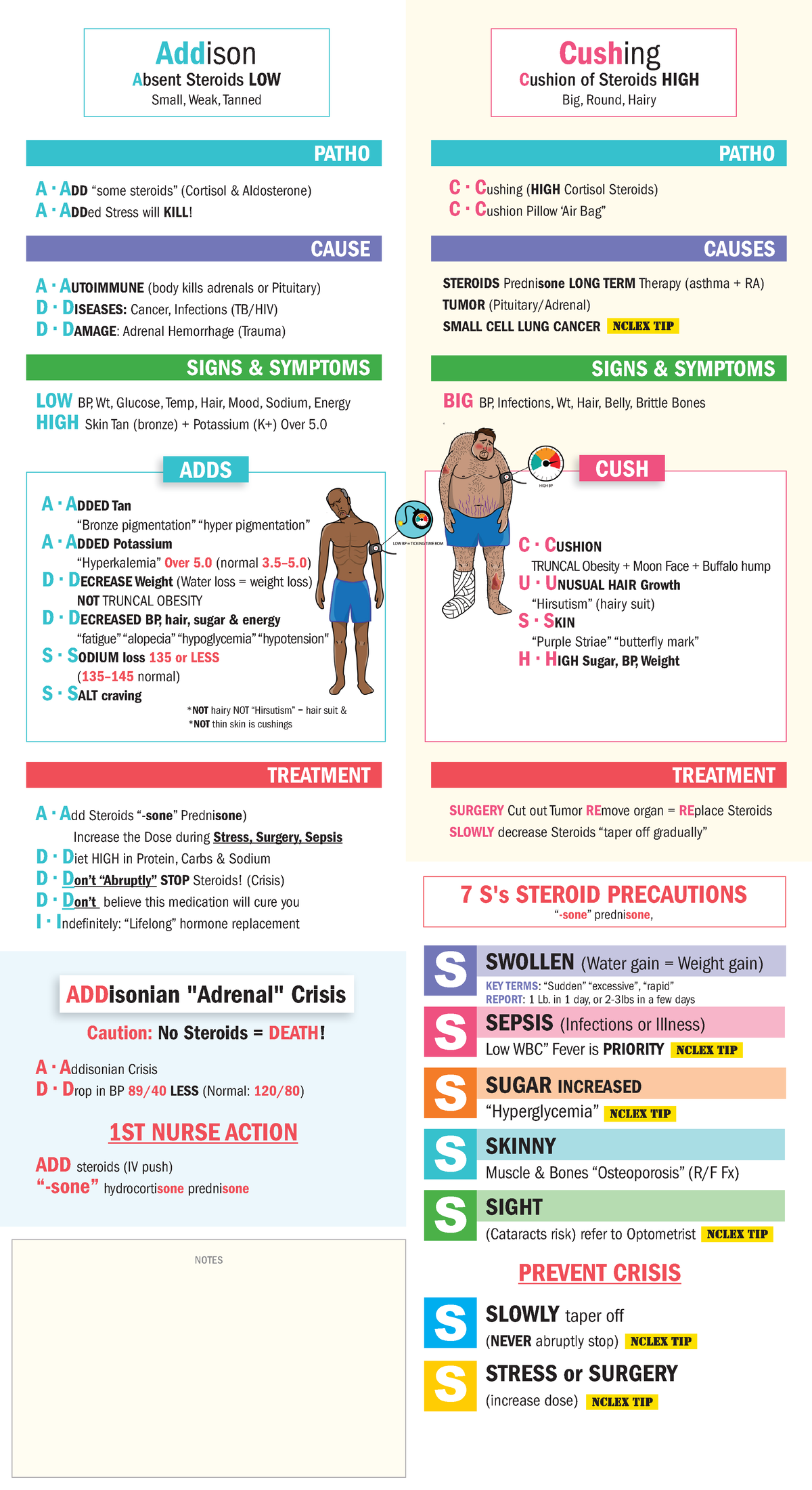 Endocrine handout Addison vs Cushings - NUR 106 - LCCC - Studocu