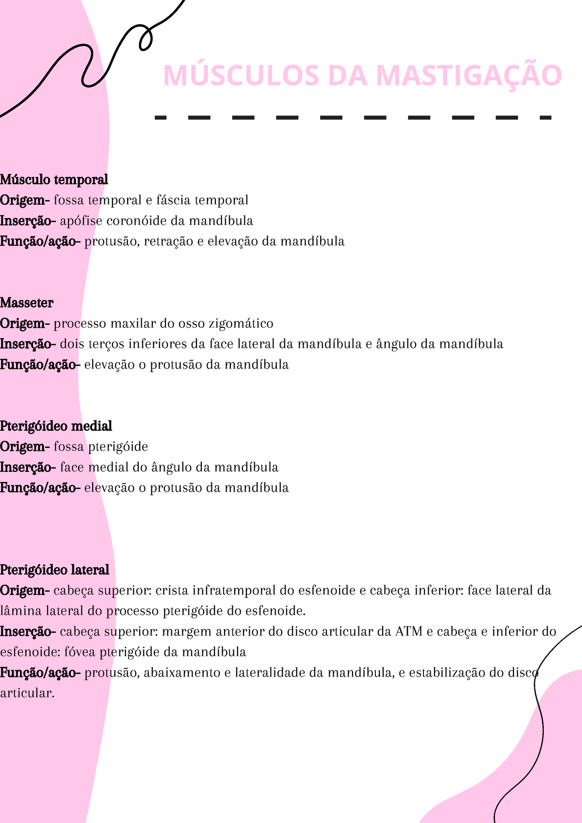 Músculo pterigóideo lateral: Origem, Inserção, Ação