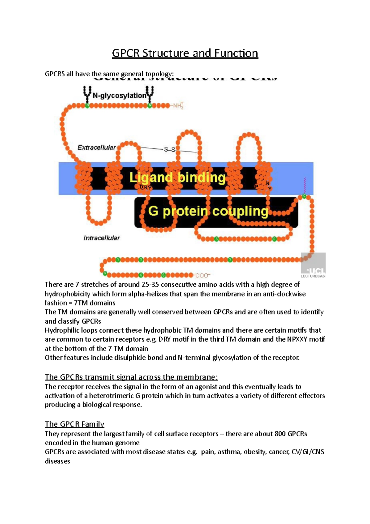 GPCR Structure And Funtion - GPCR Structure And Function GPCRS All Have ...