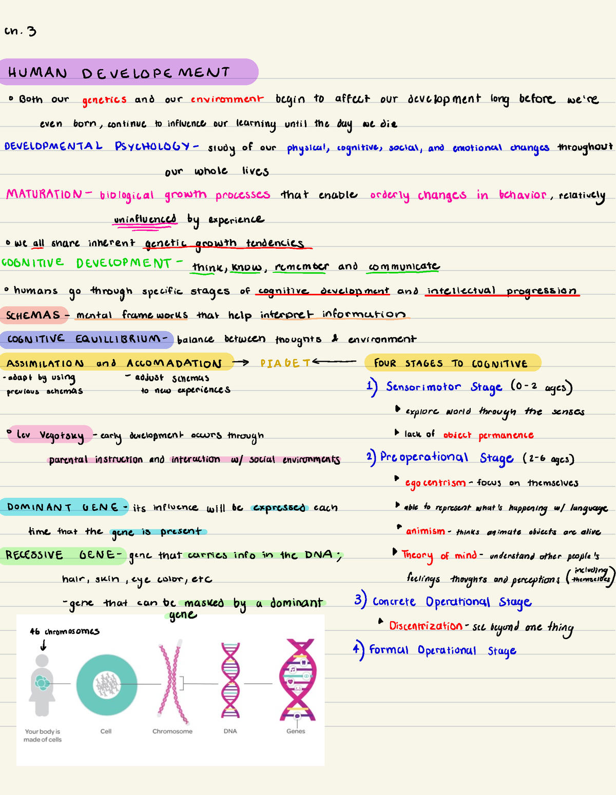 notes-in-class-psychology-18-psyc-1000-studocu