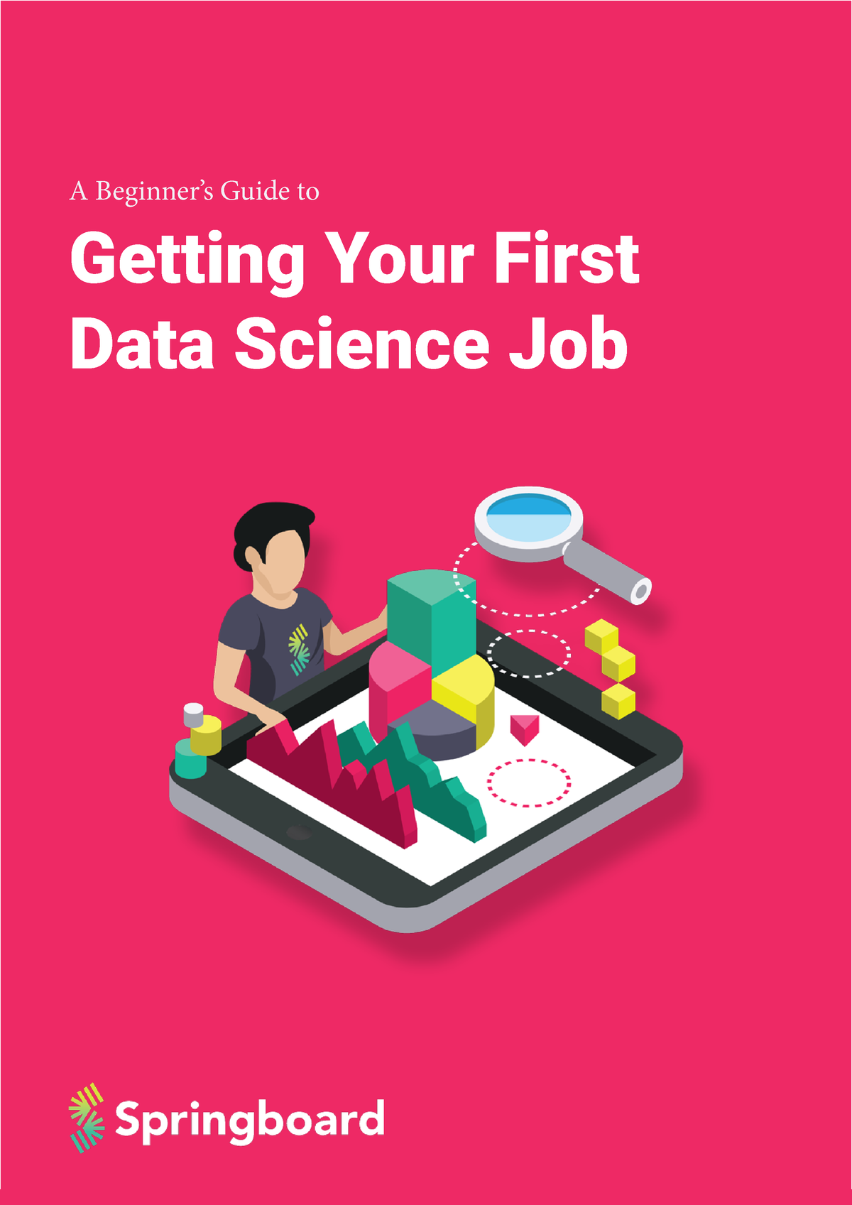 A Beginner’s Guide To Getting Your First Data Science Job - Getting ...