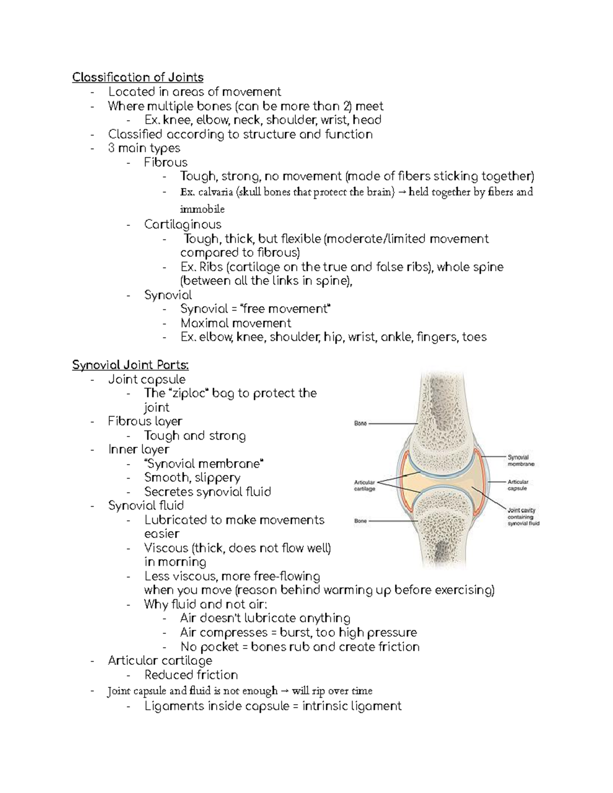 2D - Joints - art anatomy - Classification of Joints - Located in areas ...