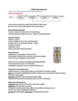 Example Q.6 (Biomechanics) - Question 6 [10 marks for this question] Q ...